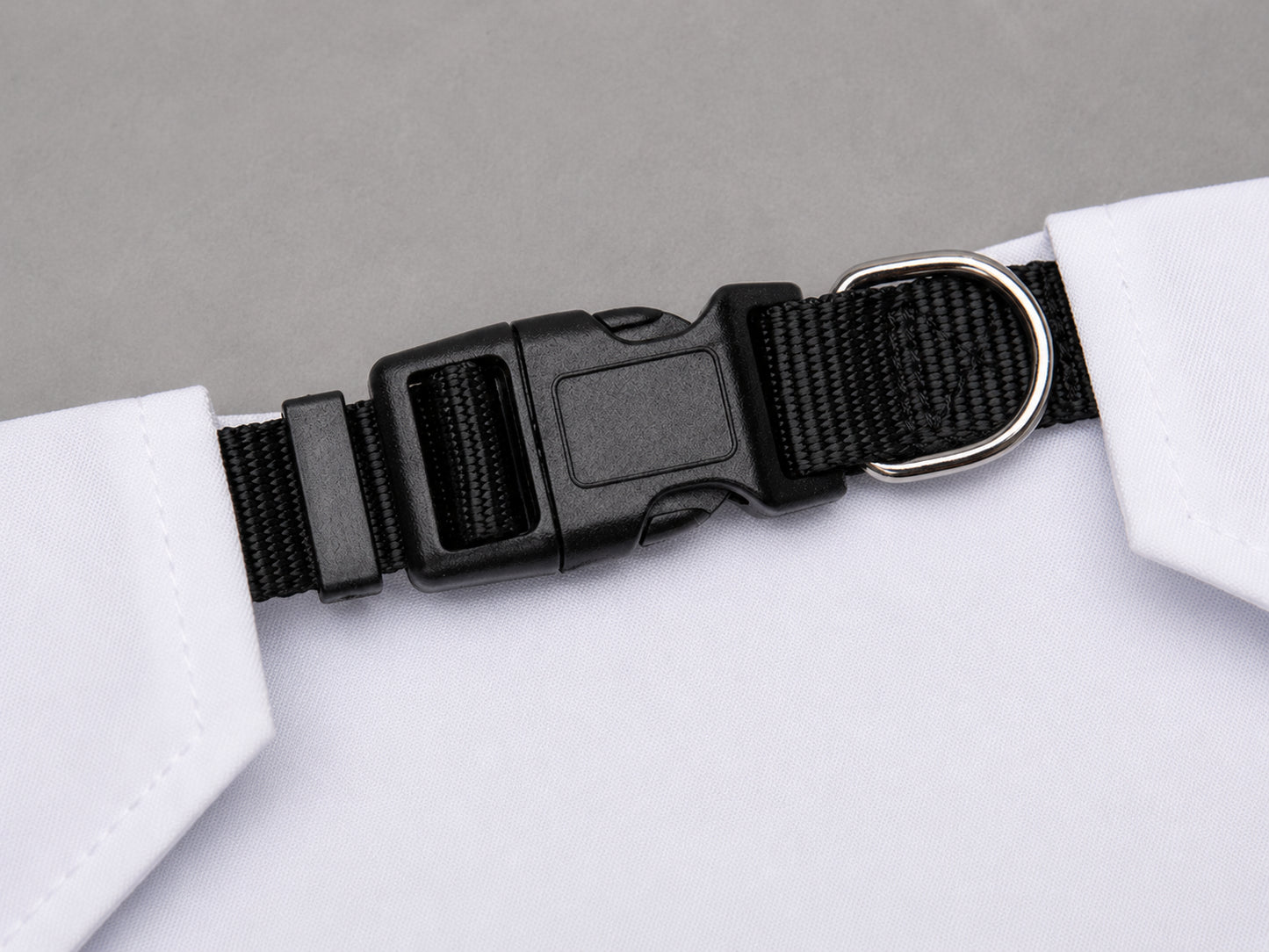 Black dog collar with a metal buckle on a white background