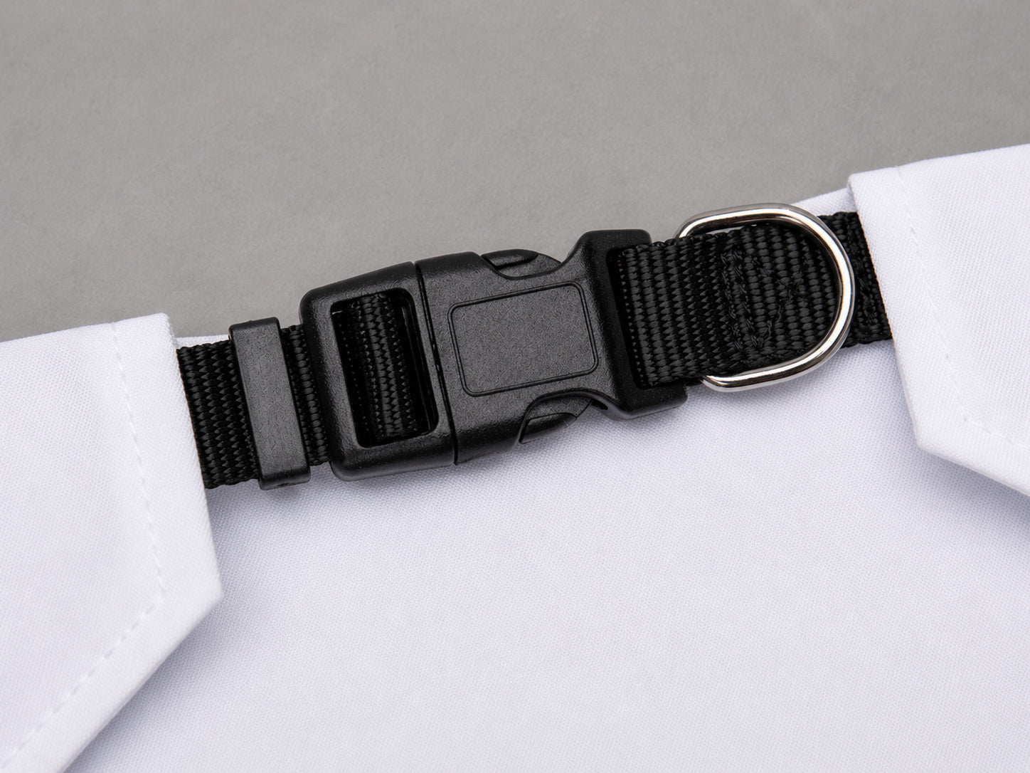 Black dog collar with a metal buckle on a white background