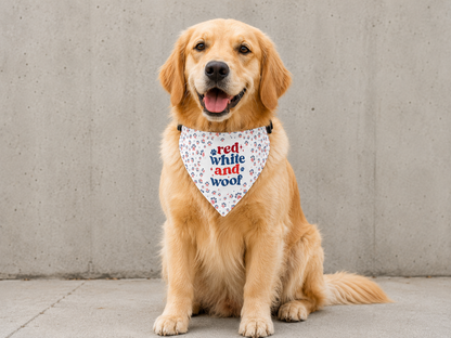 Red white and blue dog bandana collar for pet photos